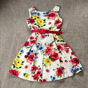 Tahari ASL Beautiful Floral Textured Cotton Rayon Box Pleats fitnflare dress sz6